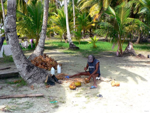 39- Le pere prepare les cocos pour les vendre 